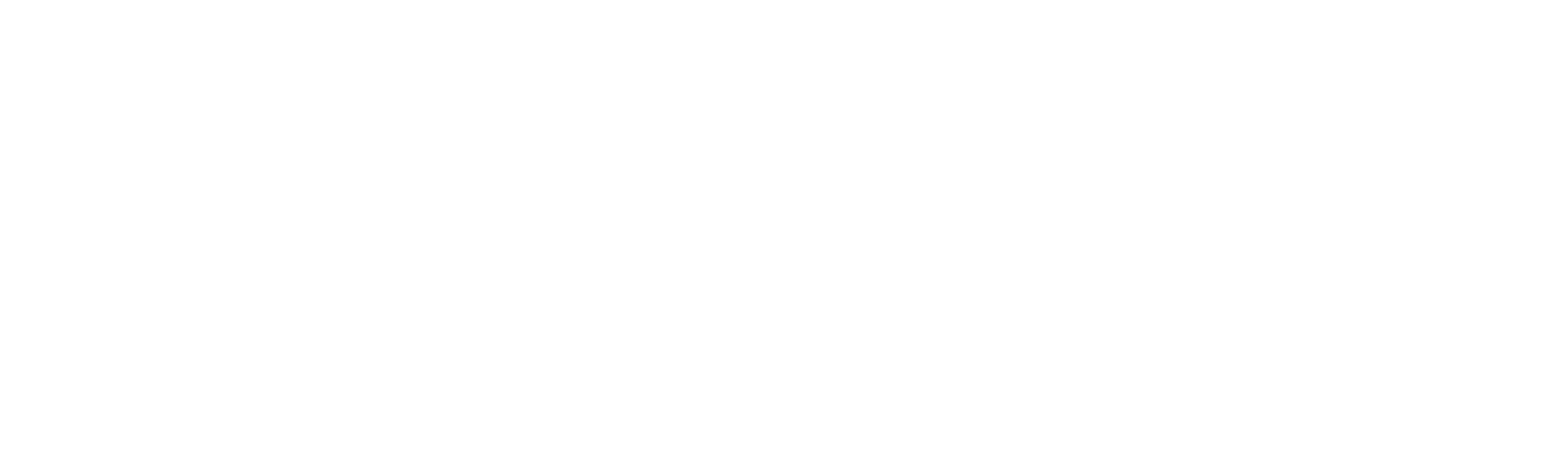 BuzzRip Media Solutions