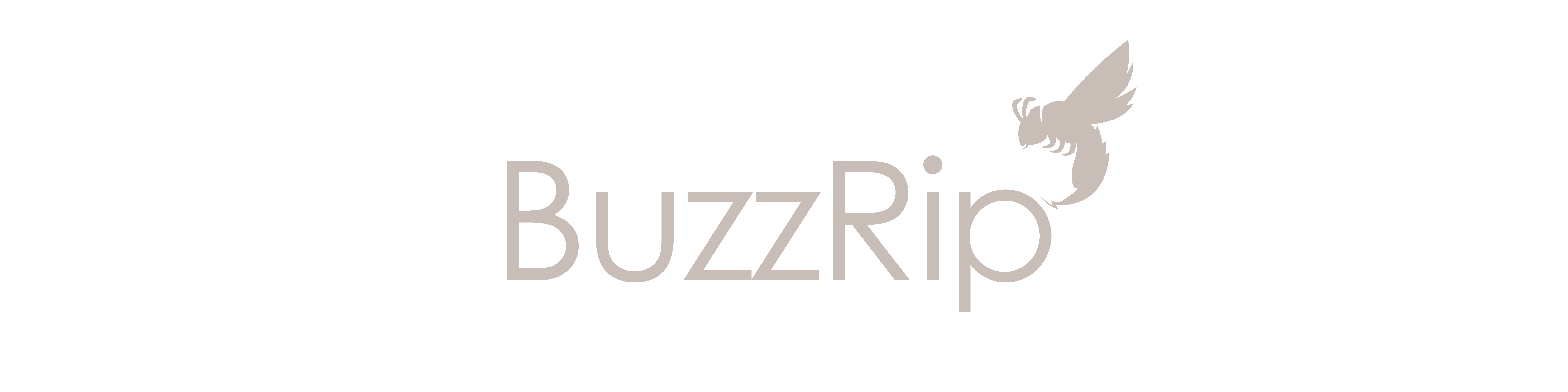 BuzzRip Creative Design Agency